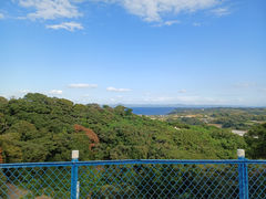 飯島みかん園の写真1