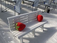 ���̂͂炢�������̎ʐ^1