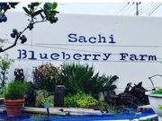 Sachi Blueberry Farmの写真1