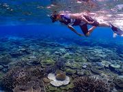 ^_ marine bar LOOP̎ʐ^2