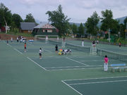 jZRЂӐ򋽃ejXR[g̎ʐ^3