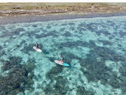 ForY�{�Ó��̎ʐ^3