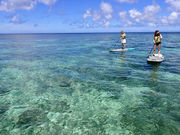 ForY�{�Ó��̎ʐ^4