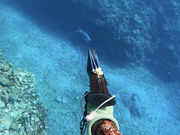 ONE SHOT Miyakojima̎ʐ^2