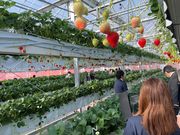 ITADAKI FARM OGORI(����������������)�̎ʐ^4