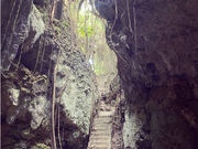 ���Ă���̎ʐ^3