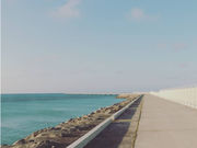 ���Ă���̎ʐ^4