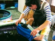 Hi-COLOR handworks̎ʐ^2