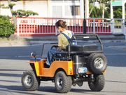 LandCruiseAMAKUSA̎ʐ^4