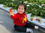 ����X�g���x���[�t�@�[���̎ʐ^3