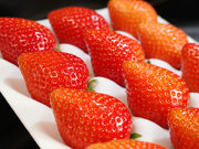 ����X�g���x���[�t�@�[���̎ʐ^3