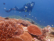 Viking Scuba Kabira̎ʐ^2