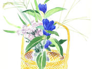 A[gz G{Ɛʉ拳 Ό̎ʐ^2