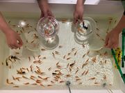 KAMON HOTEL NAMBA̎ʐ^2