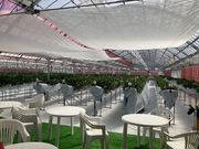 ���̂͂炢�������̎ʐ^3