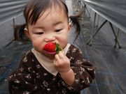 �����߃t�@�[���̎ʐ^4