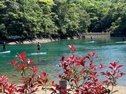 4491Base�i�V�V�N�C�x�[�X�j�̎ʐ^2