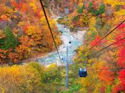 �c��h���S���h���̎ʐ^2