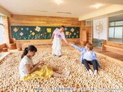 �z�ސ�L�����p�X�̎ʐ^2