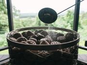 Snow Peak FIELD SUITE SPA HEADQUARTERS�̎ʐ^2