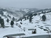 �ɂ��ɂ��Ђ�΁i�R�Îu�̒I�c�E�I�r�j�̎ʐ^2