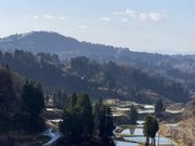 �ɂ��ɂ��Ђ�΁i�R�Îu�̒I�c�E�I�r�j�̎ʐ^4