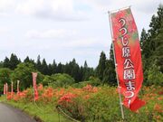 ���������̎ʐ^3