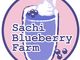 Sachi Blueberry Farm̎ʐ^3