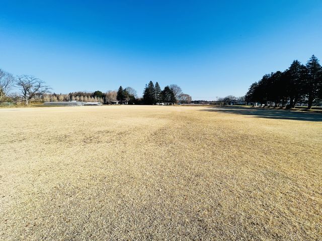 ���������󂪂��҂����Ă���܂�_(���F)DSI �h���[����r�W�l�X�X�N�[�����