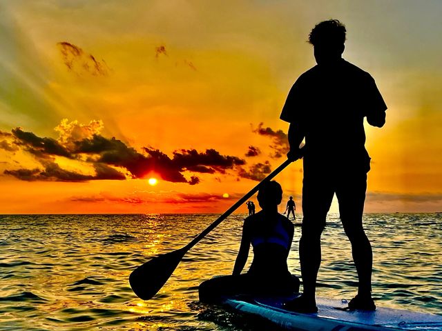 ������̊��I_OCEAN LIFE