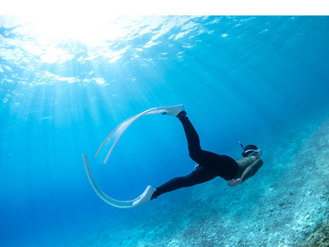 ���[���X�L���_�C�r���O_Diving Shop Nalu
