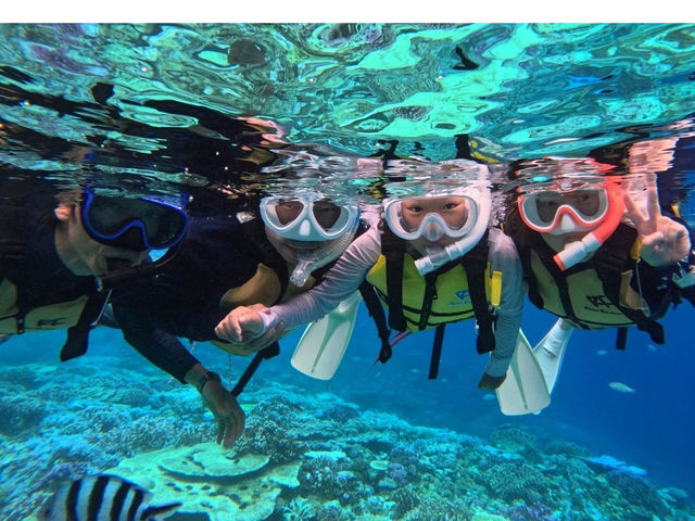 ���꓇�V���m�[�P�����O_Diving Shop Nalu