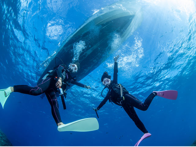 �{�����_�C�r���O_Diving Shop Nalu