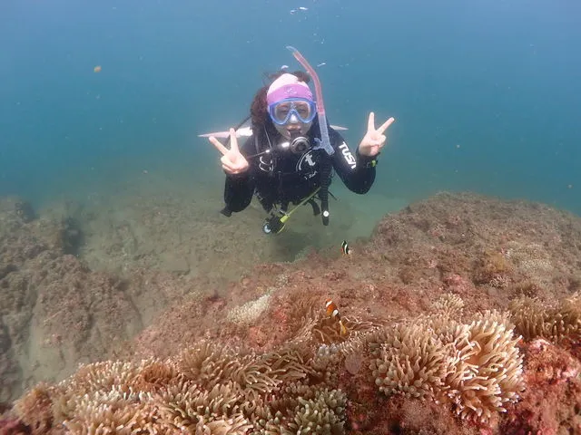 三浦ゴマちゃんダイバーズの割引プラン