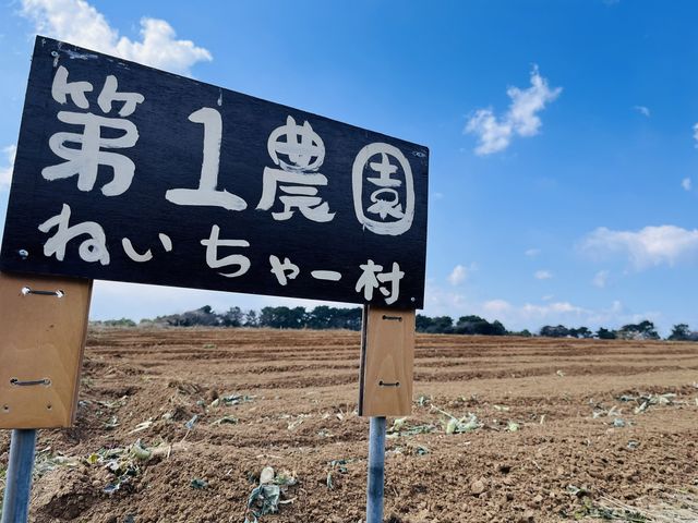 �˂�����[���̑̌��_���̎ʐ^1