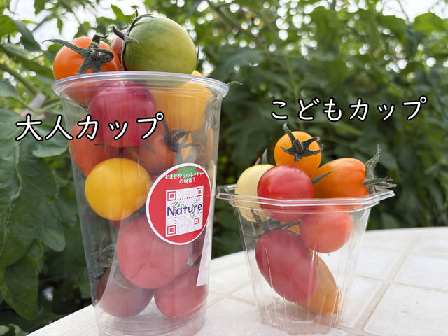 �ő�13��̃g�}�g����u�����g�}�g�v�������悤��_�Ƃ܂Ǝ��̃l�C�`���[