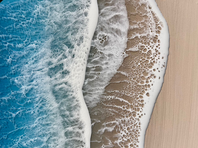 Alpha Ocean Art Studio