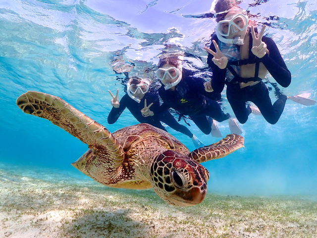 �{��blue�܂ق��