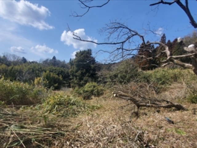 ���R_�ɉꔒ�~�̌Ö���