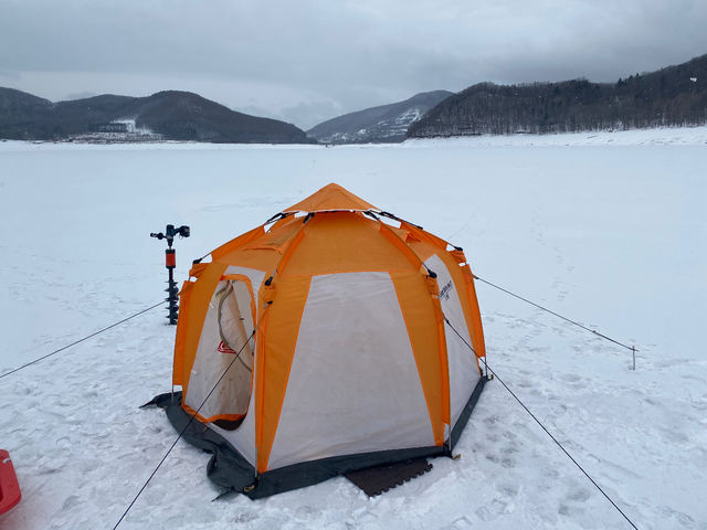 �L��ȃ_���΂̒ނ�B�V�[�Y���I�Ղ̕����ɂ͂�����ґ�ɂȌΖʑ݂��؂�̓����B�P�N�ɂP�x���邩�Ȃ����̊m���ł��B_�v���K�C�h�c�A�[�D�y�F�I�����[�����c�A�[�Y