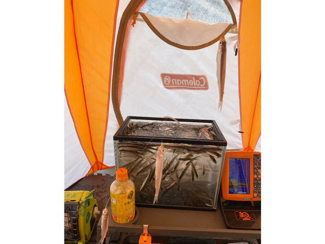 ����H���^�C���ɂ̓_�u���q�b�g�A�����g�����e���g�ł܂�����y�����y���݂܂��傤�B_�v���K�C�h�c�A�[�D�y�F�I�����[�����c�A�[�Y