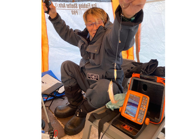 ���񂾐�����ނ�郏�J�T�M�͋��̂����ꂢ�ł��B_�v���K�C�h�c�A�[�D�y�F�I�����[�����c�A�[�Y