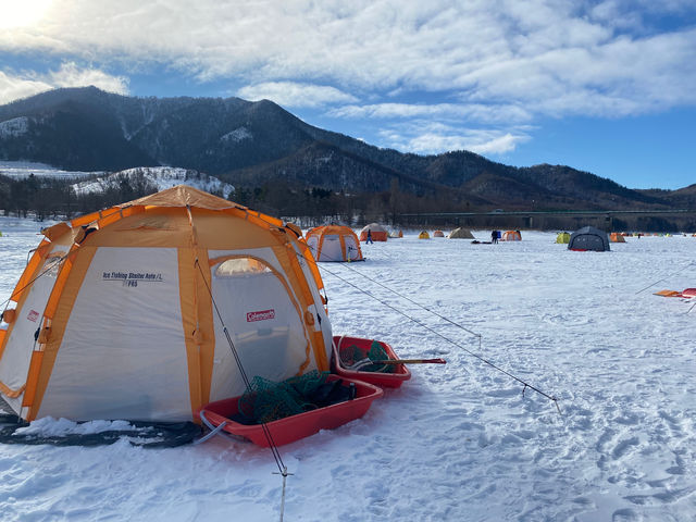 �v���K�C�h�c�A�[�D�y�̎ʐ^1