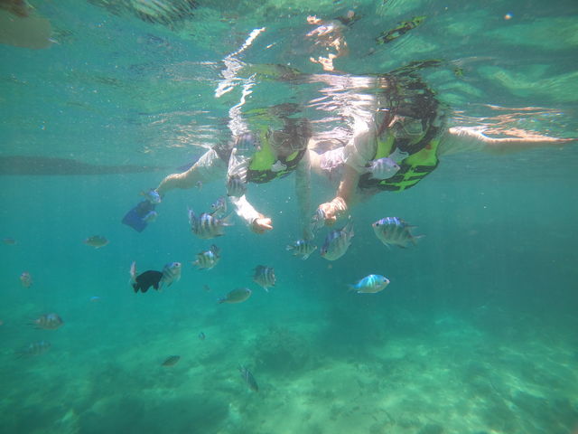 �}�������O�[��