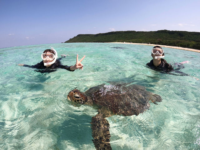 �l���Ɉ�x�͖��킢�����A����ȊC�ŃE�~�K���ƈꏏ�ɉj���A�����̏u�ԁI_LAULEA