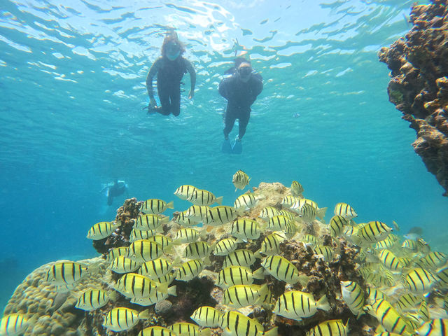 �u�D�ɂ͏�炸�ɁA�r�[�`���炻�̂܂܊C�ցB
�����₷������A���߂Ă̕��ł����S���Ċy���߂܂��B�v_LAULEA