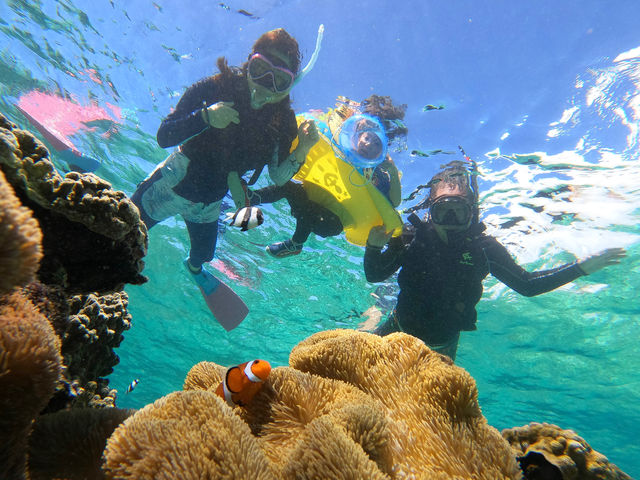 �����K�l����j�������I�H_LAULEA