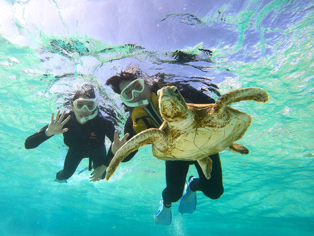 �쐶�̃E�~�K���Ƃ��̋����ŉj����́I�H_LAULEA