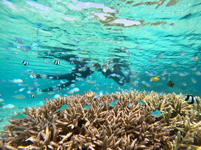 ������������`�I�I�I_LAULEA