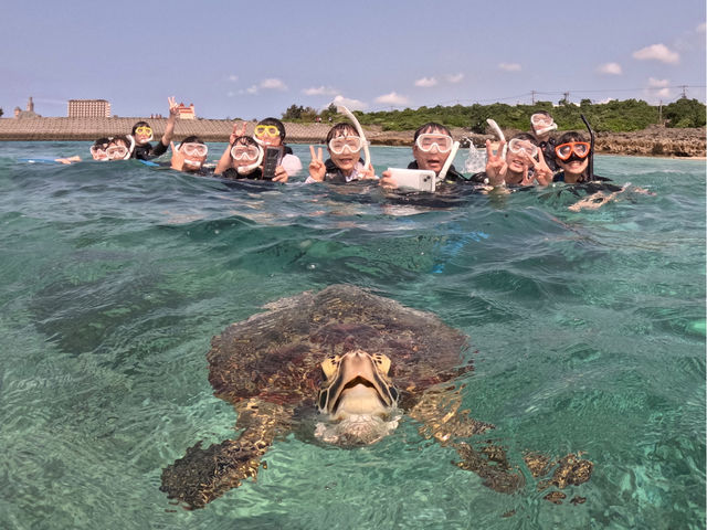 �c�̂̂��q�l�ƃE�~�K���V���m�[�P�����O�I_LAULEA